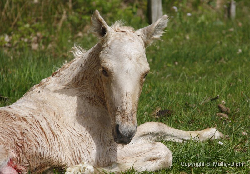 Hjoerdis 18 Min alt (7).JPG